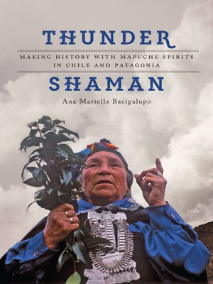 cover image of Thunder Shaman